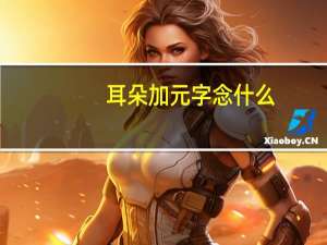 耳朵加元字念什么