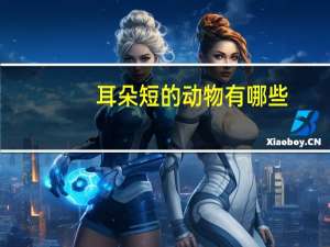 耳朵短的动物有哪些