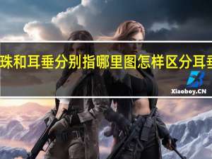 耳珠和耳垂分别指哪里图 怎样区分耳垂和耳珠