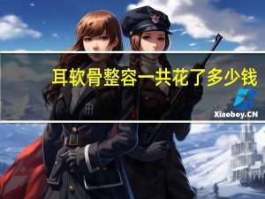 耳软骨整容一共花了多少钱？肋软骨隆鼻要多少钱