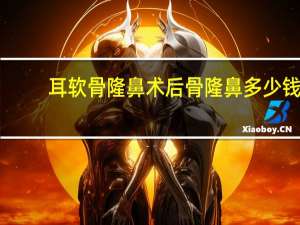 耳软骨隆鼻术后骨隆鼻多少钱 自体软骨隆鼻的价钱