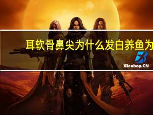 耳软骨鼻尖为什么发白 养鱼为什么嘴变白、鱼尾变白