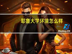 耶鲁大学环境怎么样