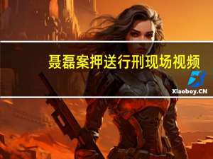 聂磊案押送行刑现场视频（聂磊死刑现场妻子）