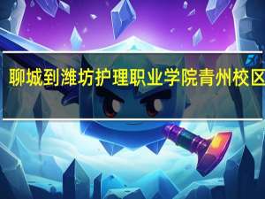聊城到潍坊护理职业学院青州校区路线