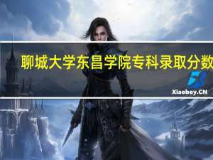 聊城大学东昌学院专科录取分数线