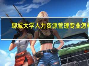 聊城大学人力资源管理专业怎样