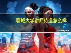聊城大学讲师待遇怎么样