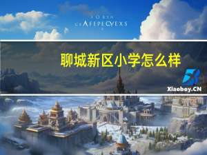 聊城新区小学怎么样