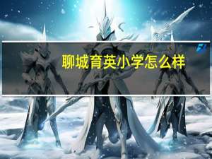 聊城育英小学怎么样
