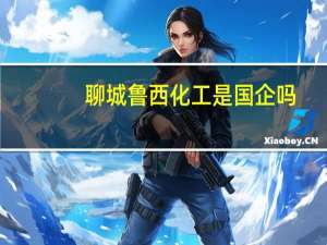 聊城鲁西化工是国企吗