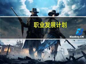 职业发展计划(关于职业发展计划简述)