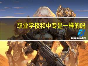 职业学校和中专是一样的吗
