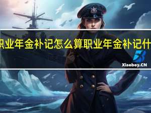 职业年金补记怎么算　职业年金补记什么意思