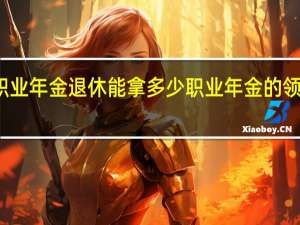 职业年金退休能拿多少　职业年金的领取方式