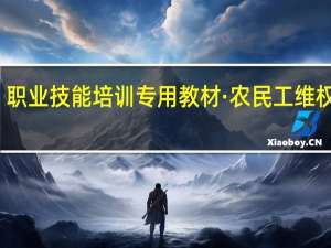 职业技能培训专用教材·农民工维权指南(关于职业技能培训专用教材·农民工维权指南简述)