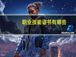 职业技能证书有哪些