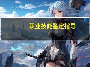 职业技能鉴定指导：无线电装接工(关于职业技能鉴定指导：无线电装接工简述)