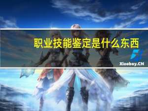 职业技能鉴定是什么东西