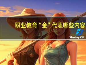 职业教育“金”代表哪些内容
