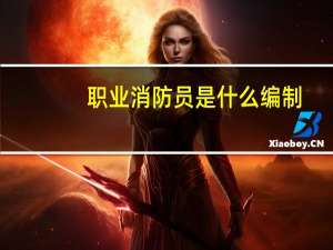 职业消防员是什么编制