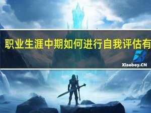 职业生涯中期如何进行自我评估有哪些