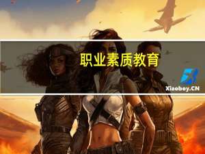 职业素质教育(关于职业素质教育简述)