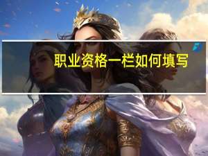 职业资格一栏如何填写