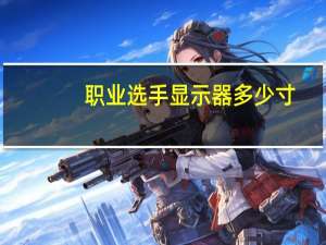 职业选手显示器多少寸