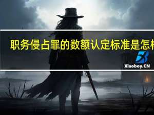 职务侵占罪的数额认定标准是怎样的