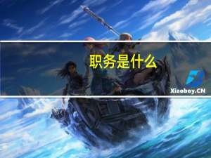 职务是什么