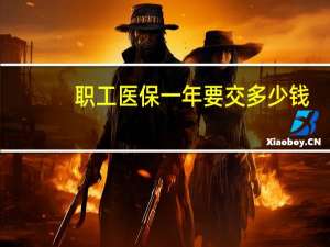 职工医保一年要交多少钱