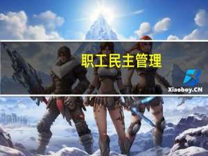 职工民主管理(关于职工民主管理简述)