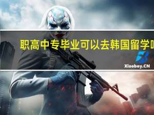 职高中专毕业可以去韩国留学吗