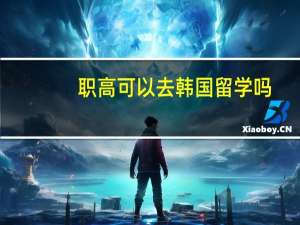职高可以去韩国留学吗