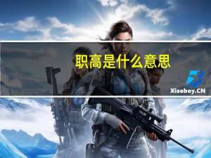 职高是什么意思