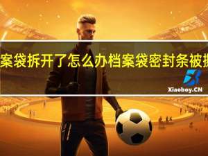职高档案袋拆开了怎么办 档案袋密封条被撕开了怎么办