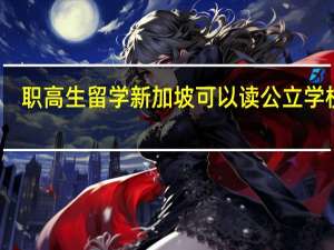 职高生留学新加坡可以读公立学校吗
