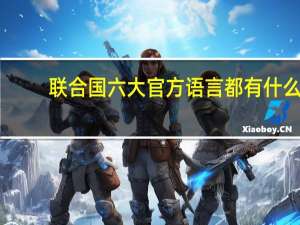 联合国六大官方语言都有什么