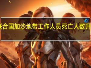 联合国加沙地带工作人员死亡人数升至14人