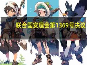 联合国安理会第1369号决议(关于联合国安理会第1369号决议简述)