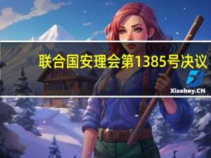 联合国安理会第1385号决议(关于联合国安理会第1385号决议简述)