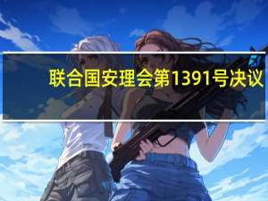 联合国安理会第1391号决议(关于联合国安理会第1391号决议简述)
