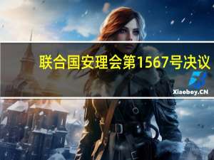 联合国安理会第1567号决议(关于联合国安理会第1567号决议简述)