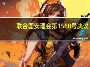 联合国安理会第1568号决议(关于联合国安理会第1568号决议简述)