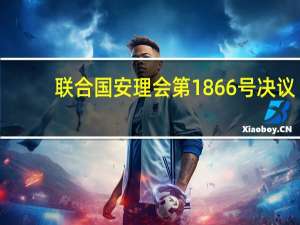 联合国安理会第1866号决议(关于联合国安理会第1866号决议简述)