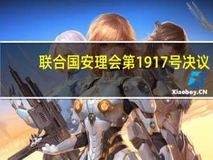 联合国安理会第1917号决议(关于联合国安理会第1917号决议简述)