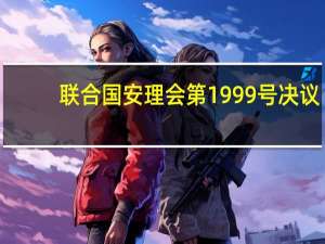 联合国安理会第1999号决议(关于联合国安理会第1999号决议简述)