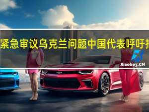 联合国安理会紧急审议乌克兰问题 中国代表呼吁把平民保护放在首位