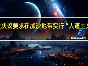 联合国安理会通过决议要求在加沙地带实行“人道主义暂停” 到底什么情况嘞